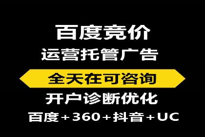 初学者的百度竞价推广：成功案例揭秘